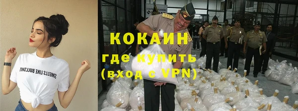 прущие грибы Армянск