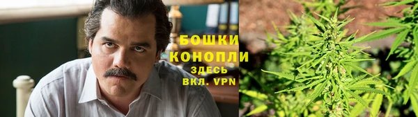 PSILOCYBIN Арсеньев