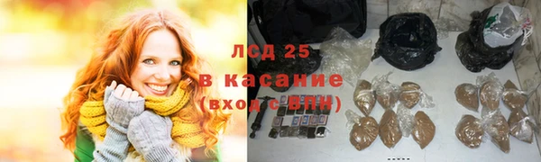 прущие грибы Армянск