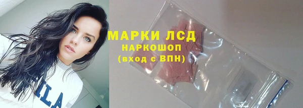 эйфоретик Аркадак