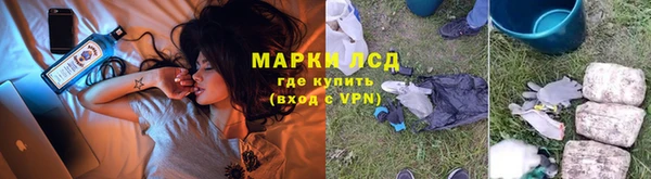 эйфоретик Аркадак
