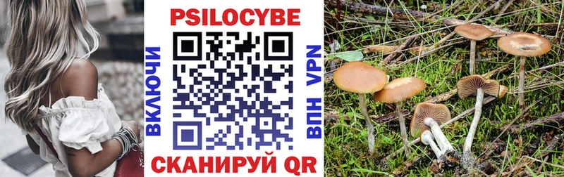 Галлюциногенные грибы мицелий Купить закладки Демидов